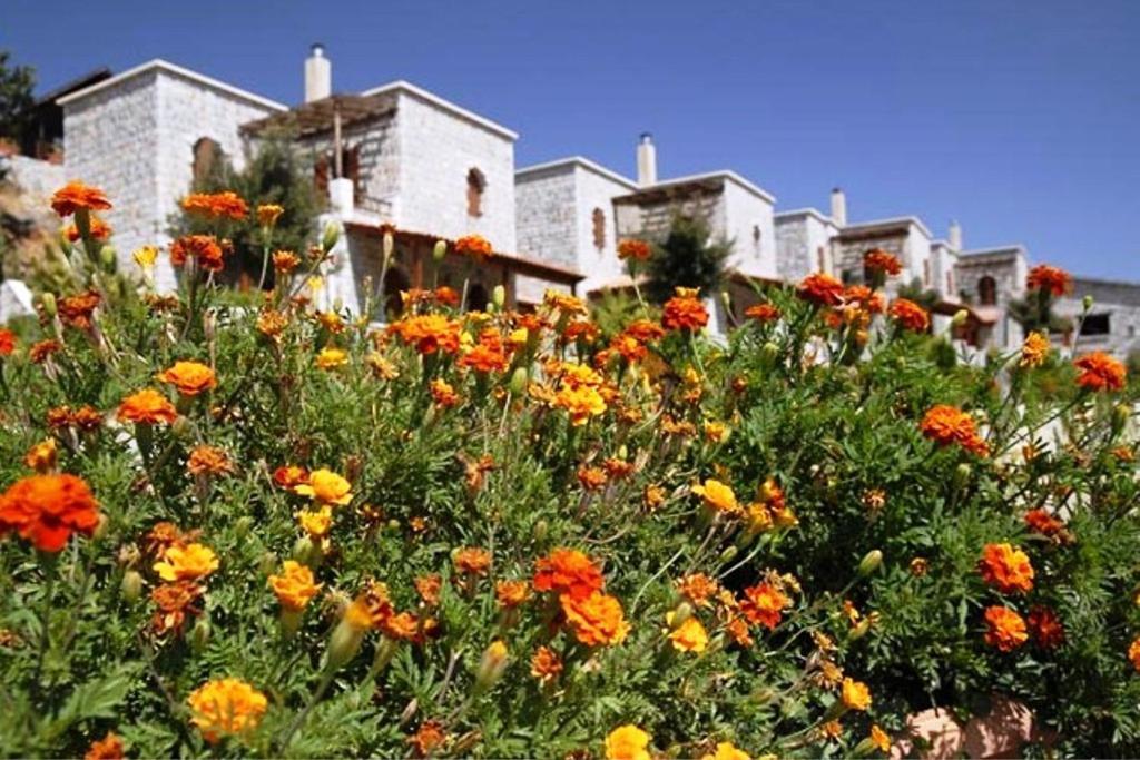 Lefkoritis Resort Askifou Sfakia Petrés Exterior foto